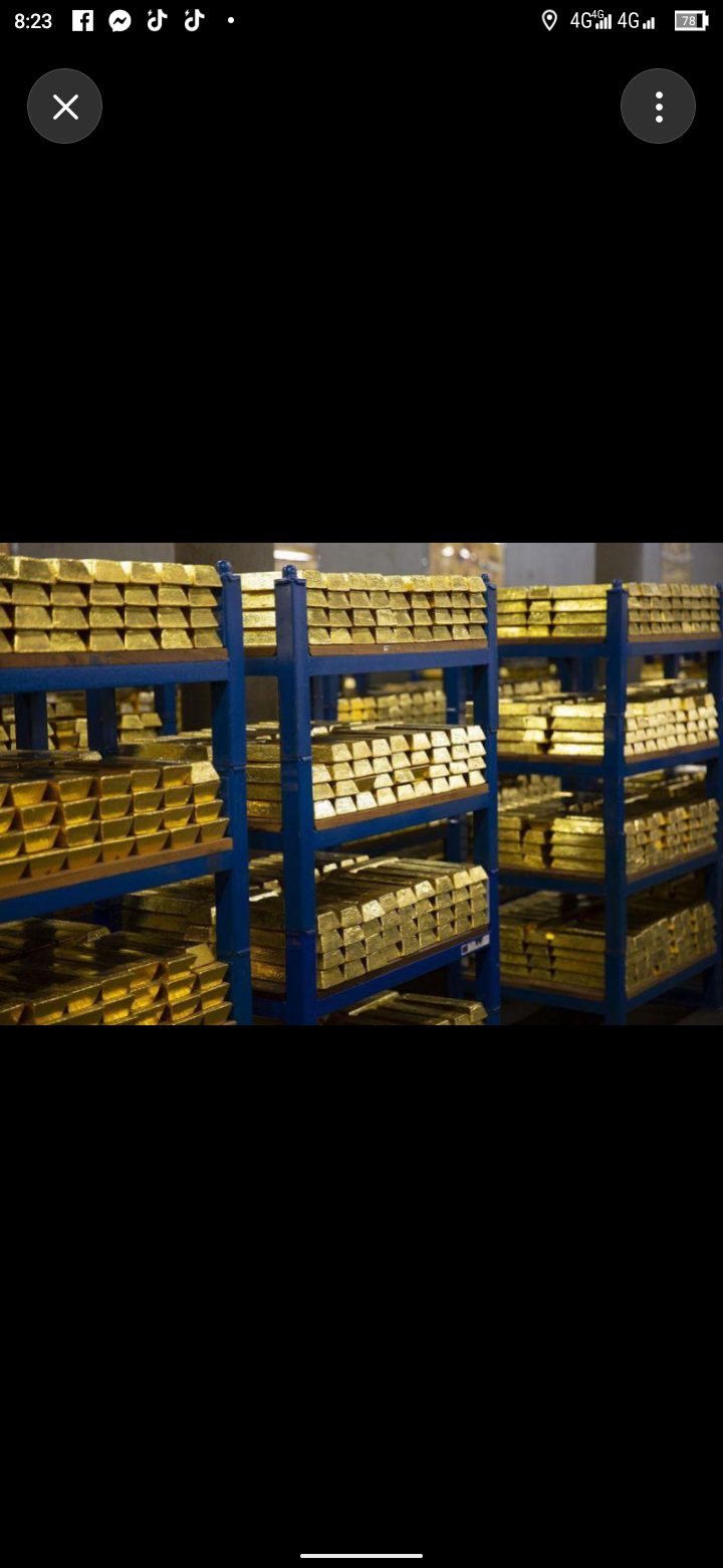 Gold bars on shelves